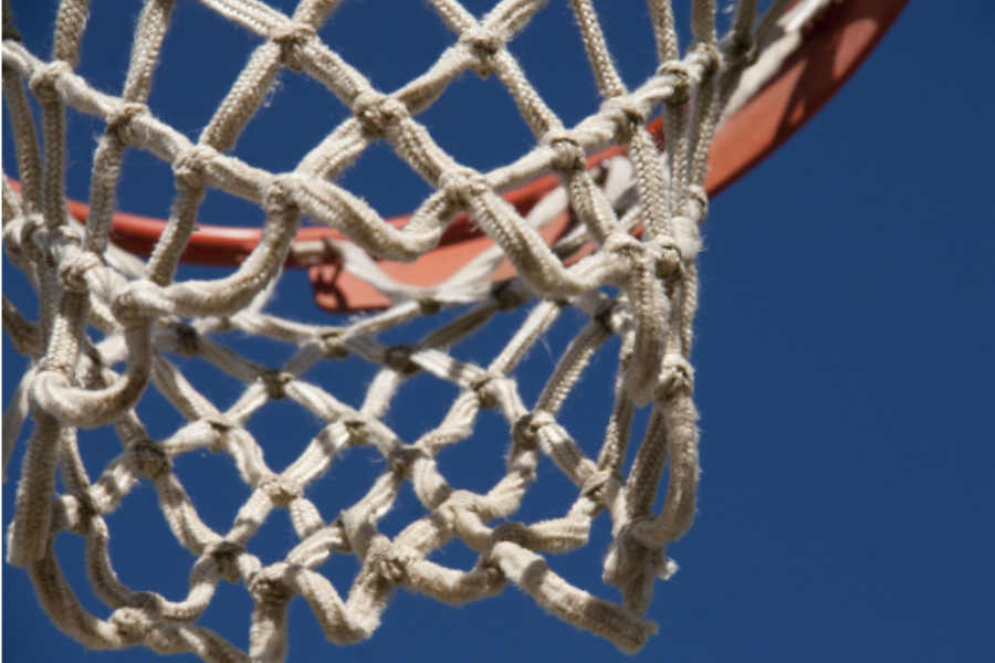 Basketball Polyester Nets