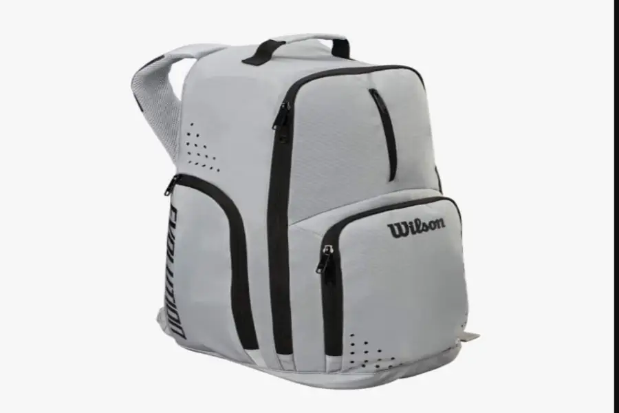 Wilson Evolution Basketball bag